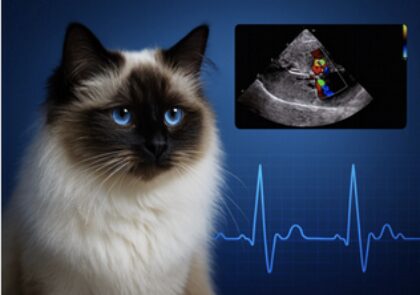 Bildschirmfoto 2025 12 28 um 17 17 08