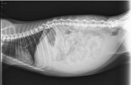 Bildschirmfoto 2025 12 28 um 17 33 02