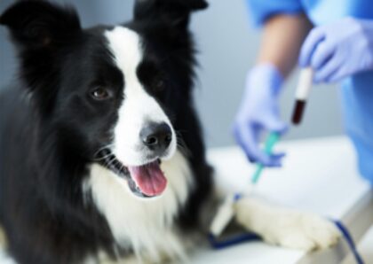 Bildschirmfoto 2025 12 28 um 17 37 06