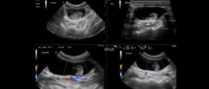 Bildschirmfoto 2025 12 28 um 17 41 14