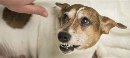 Bildschirmfoto 2025 12 28 um 17 52 38