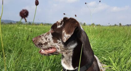 Bildschirmfoto 2025 12 28 um 18 08 52