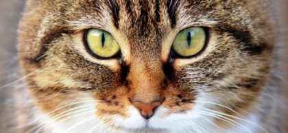 Bildschirmfoto 2025 12 28 um 18 13 41