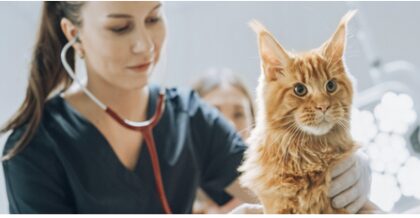 Bildschirmfoto 2025 12 28 um 18 21 10