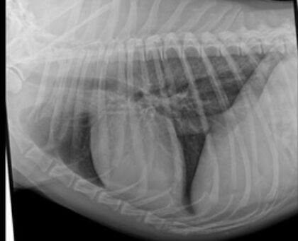 Bildschirmfoto 2025 12 28 um 18 41 29