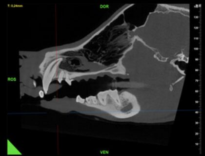 Bildschirmfoto 2025 12 28 um 18 45 55