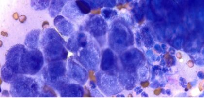 Bildschirmfoto 2025 12 28 um 18 51 18