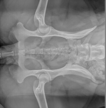 Bildschirmfoto 2025 12 28 um 19 10 35