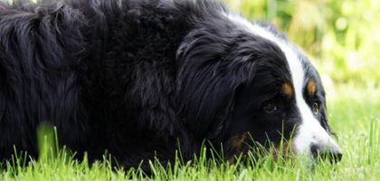 Bildschirmfoto 2025 12 28 um 19 27 03