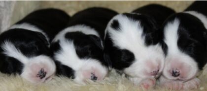 Bildschirmfoto 2025 12 28 um 19 30 14