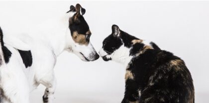 Bildschirmfoto 2025 12 28 um 19 37 14