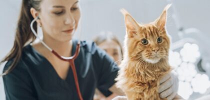 Bildschirmfoto 2025 12 28 um 20 02 47