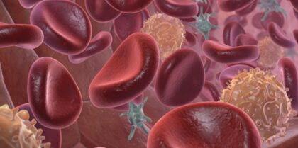 Bildschirmfoto 2025 12 28 um 20 15 23