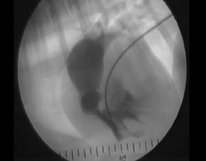 Bildschirmfoto 2025 12 28 um 20 26 55