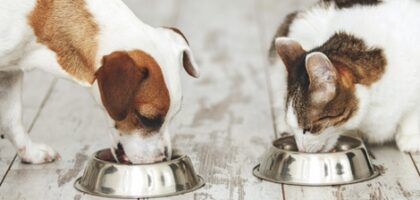 Bildschirmfoto 2025 12 28 um 21 07 33