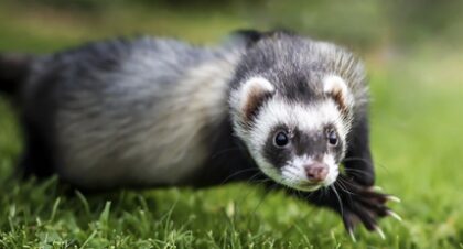 Bildschirmfoto 2025 12 28 um 21 25 59