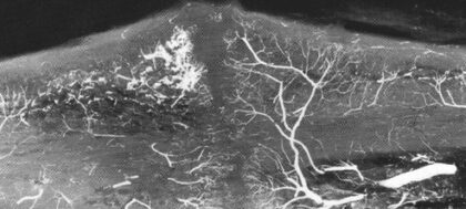 Bildschirmfoto 2025 12 28 um 21 56 24