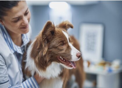 Bildschirmfoto 2025 12 28 um 22 07 03