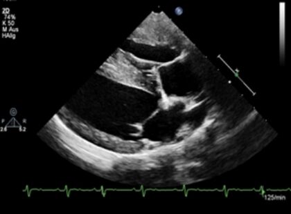 Bildschirmfoto 2025 12 28 um 23 51 21