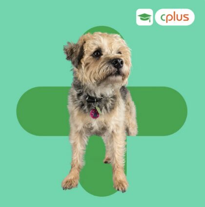 Bildschirmfoto 2026 03 13 um 15 20 26