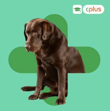 Bildschirmfoto 2026 03 13 um 16 20 13