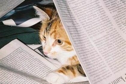 Chronische nierenerkrankung und diabetes mellitus fragen uber fragen