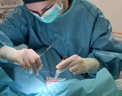 Bildschirmfoto 2026 03 30 um 13 49 32