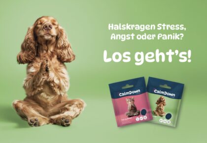 Bildschirmfoto 2026 03 30 um 14 00 44