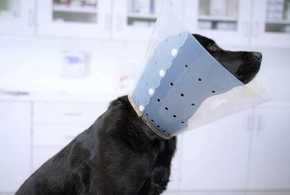 Bildschirmfoto 2026 03 30 um 14 06 20