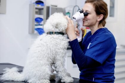 Bildschirmfoto 2026 04 16 um 08 21 33