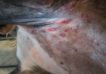 Bildschirmfoto 2020 06 17 um 00 25 17