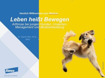 93528206 1880997425367447 5831028139999887360 o