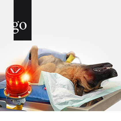 Fit fuer den Notdienst Anaesthesieprotokolle fuer die Kleintierpraxis