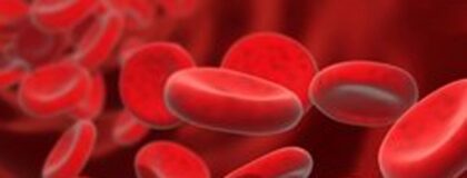 W417 Haematologische Untersuchung 1 1