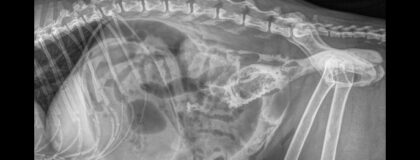 W549 GST Strahlenschutz fuer TPA 11 1