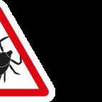 Portrait www.zecken.de